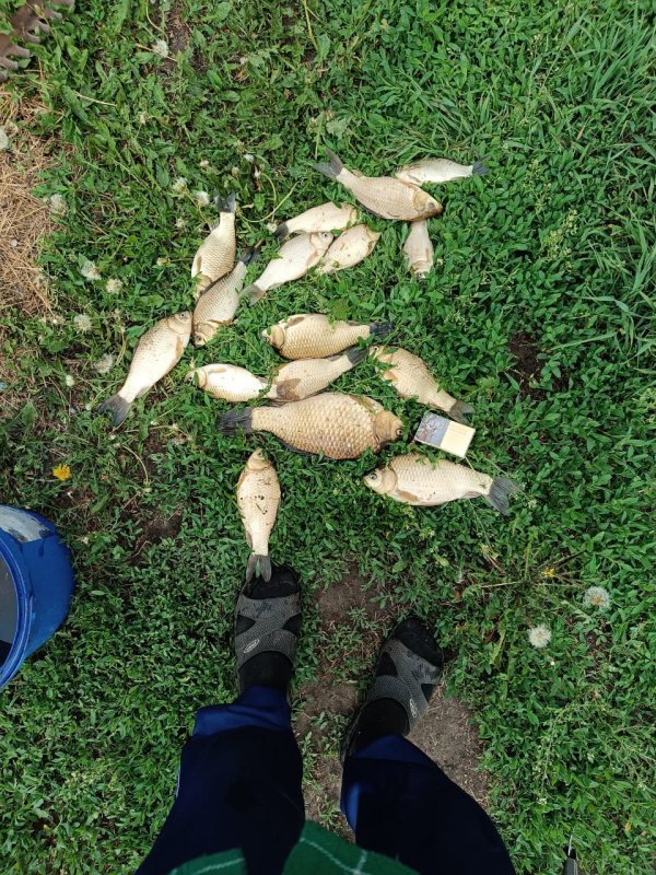 Сегодня клевал всего 15 минут...