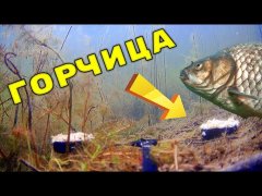 Ты не поверишь! Горчица в действии! Подводная съемка