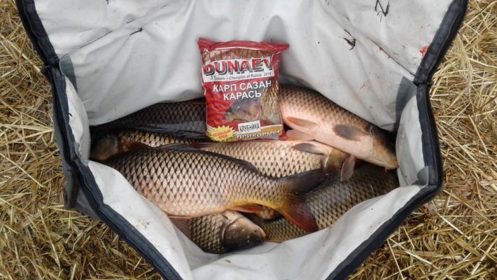 Конкурс «Лучшая весть о ловле мирной рыбы 2025» в самом разгаре: на кону шикарные призы от Dunaev!