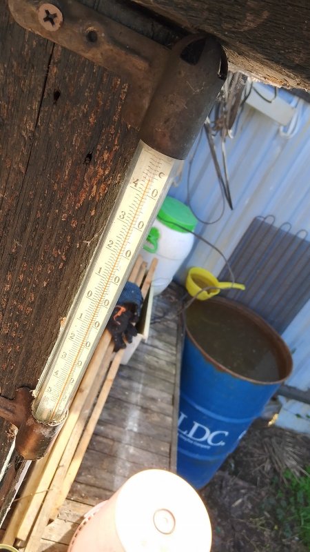 Солнце шалит