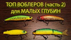 Обзор воблеров на щуку для мелководья (часть 2)