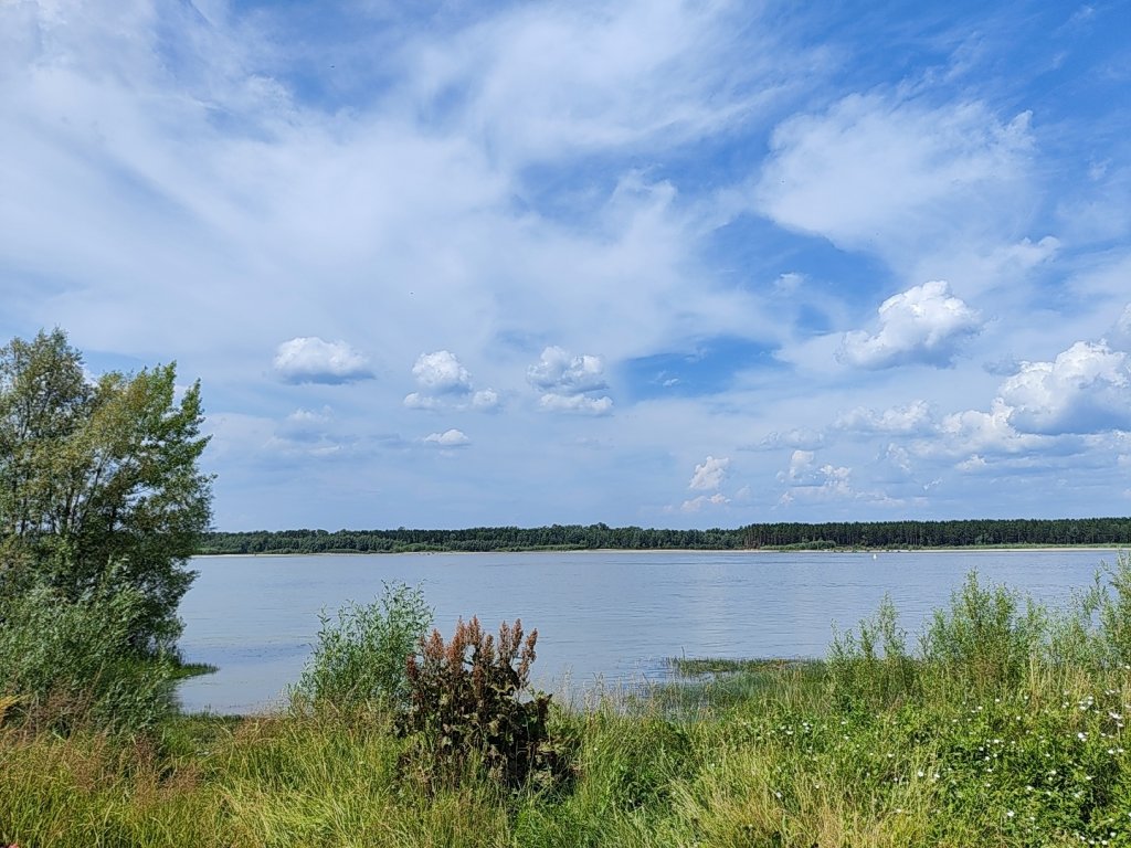 Обь. Ташара.