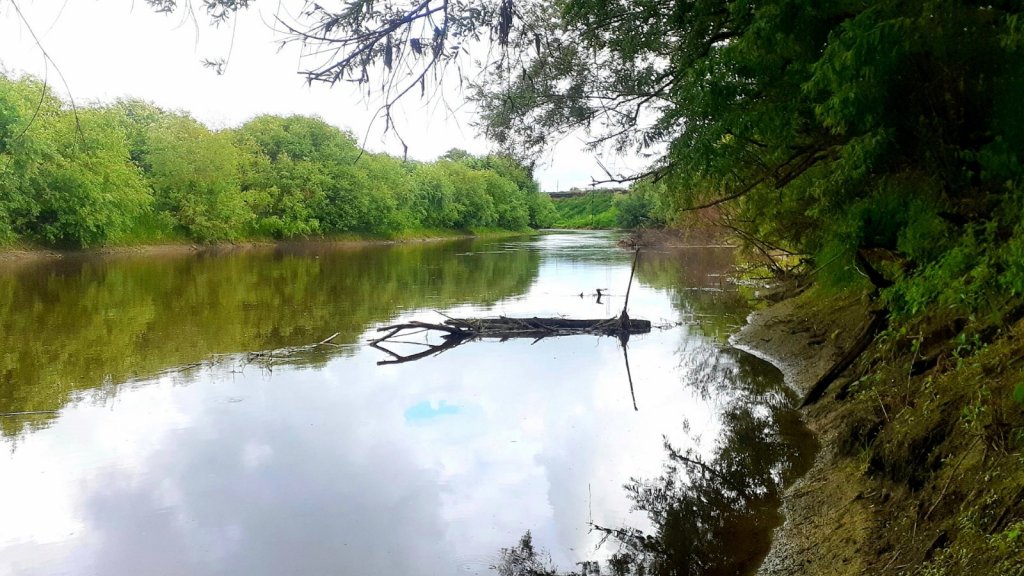 Коряжник на реке Тартас...