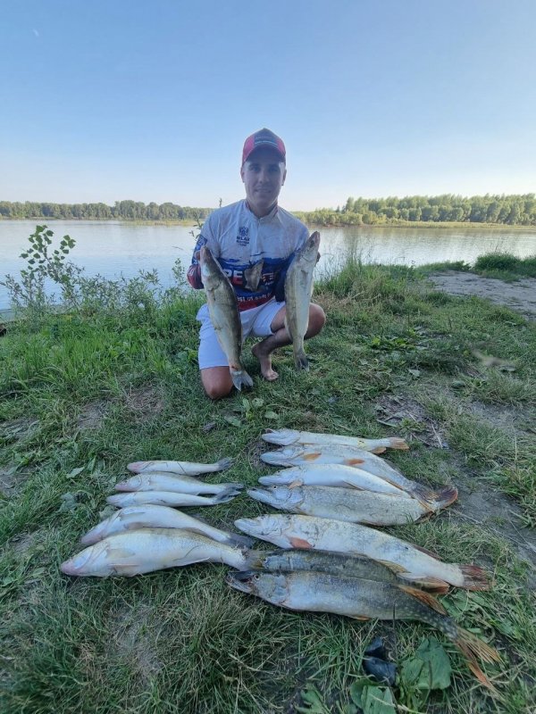 Сузунская битва