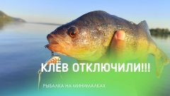 Клёв отключили!!! Рыбалка на минималках