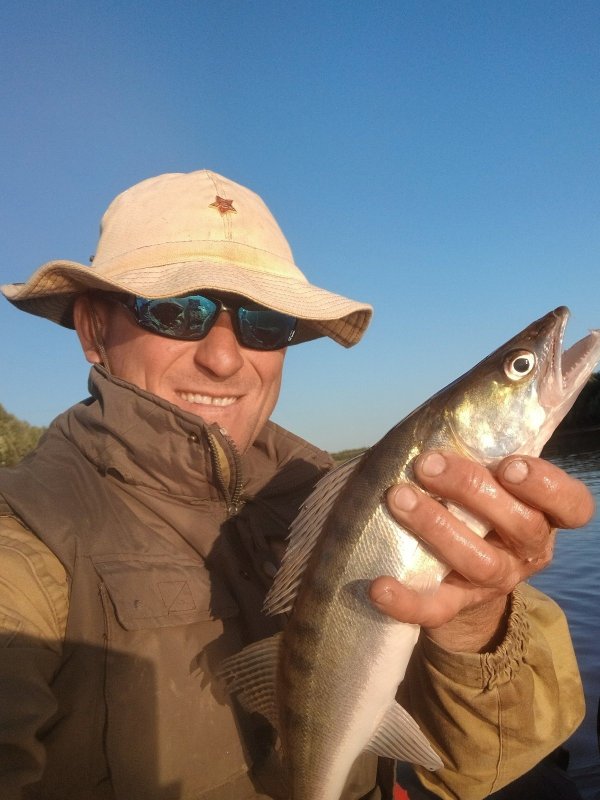 Попался клыкастый