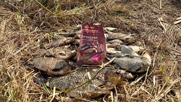 Итоги конкурса «Лучшая весть по мирной рыбе — 2025»