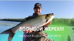 Маленькая приманка — большой жерех! Рыбалка в штормовой ветер