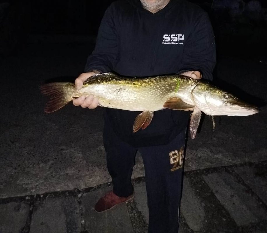 Одна щука за 3 часа