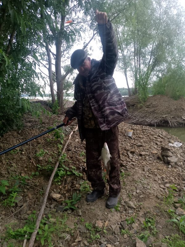 Старший брат отдуплился!..