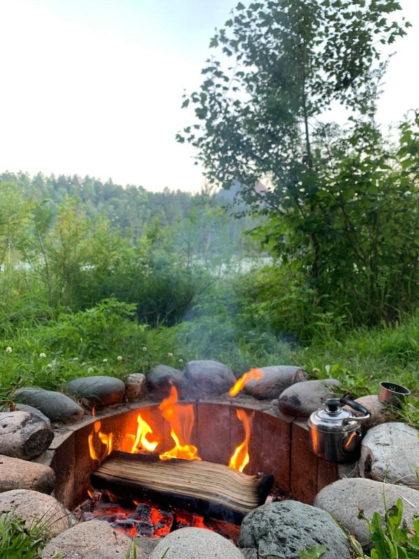 На безрыбье и Чай рыба.