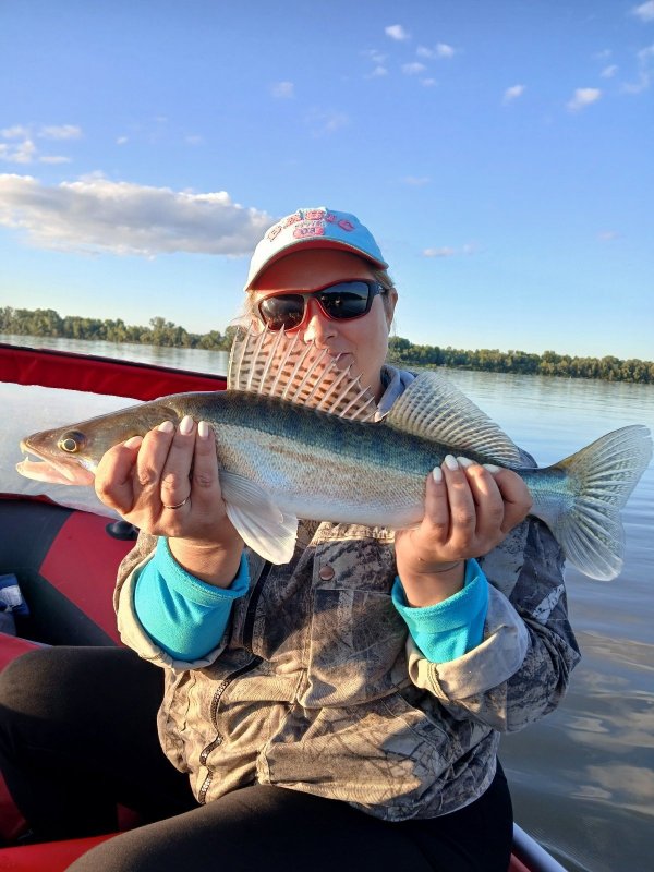 Дома тоже клюёт