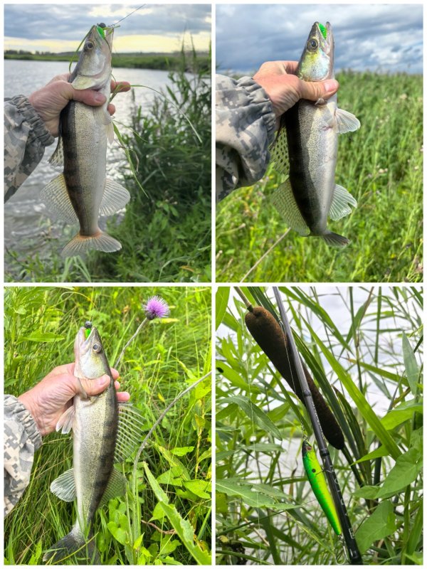 Ордыны, джиг.