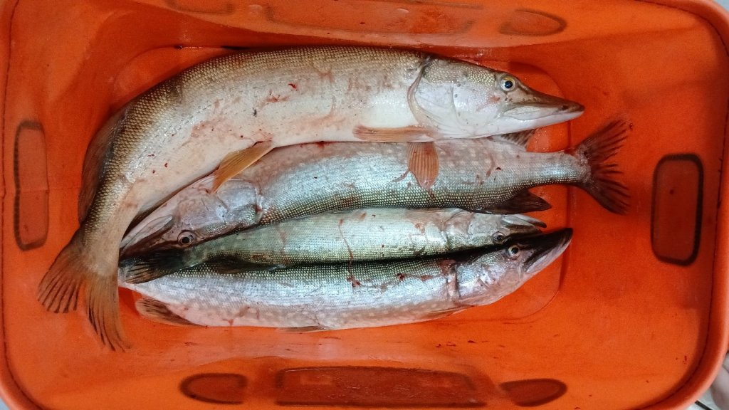 Кораблик пески