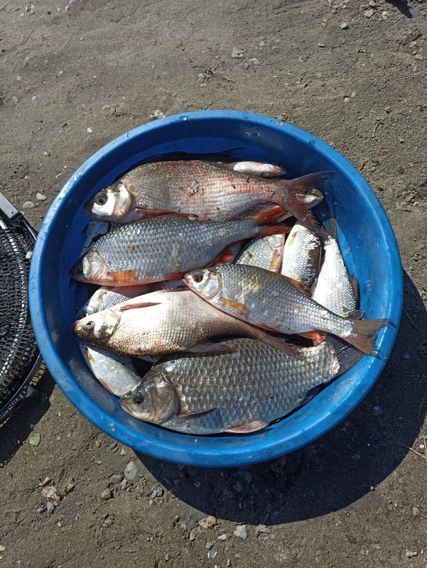 В гостях у Лëхи-154.