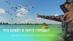 Что клюёт в черте города? Два дня среди бетона: рыбалка в городе