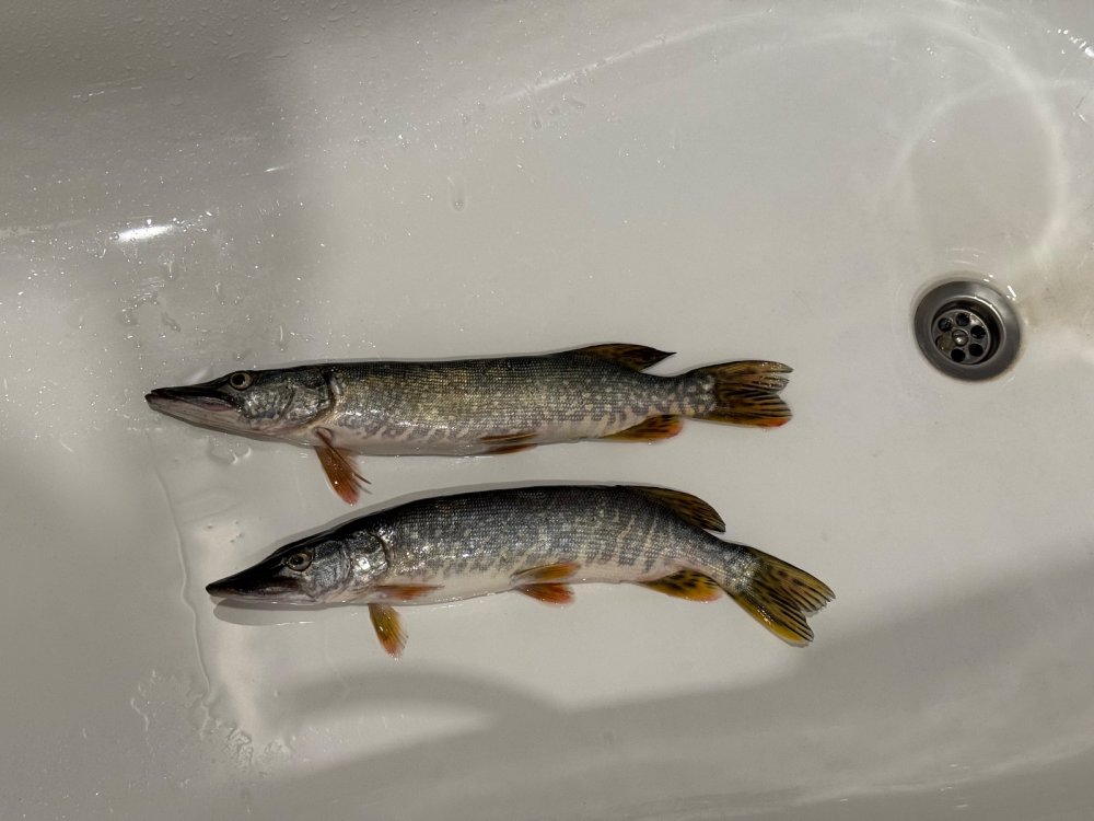 Под бугринским мостом