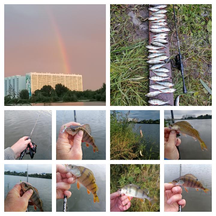 После дождичка.