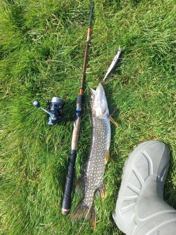 По тихой воде