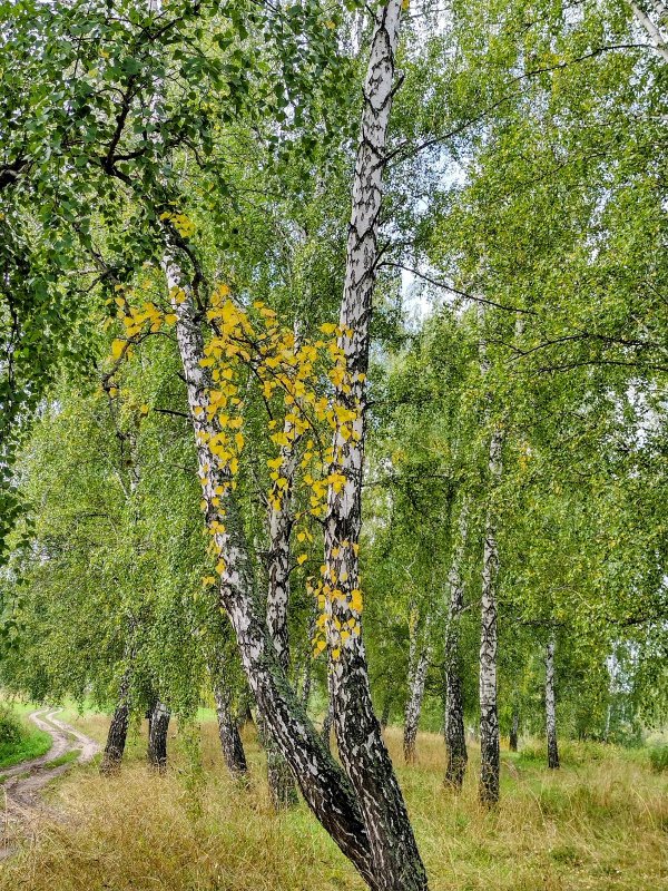 Начало осени