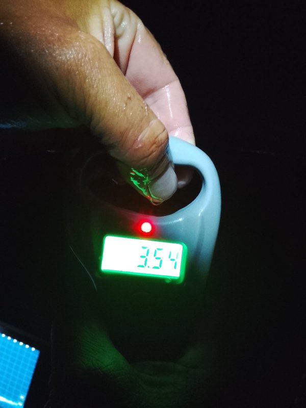 Ночной красавец