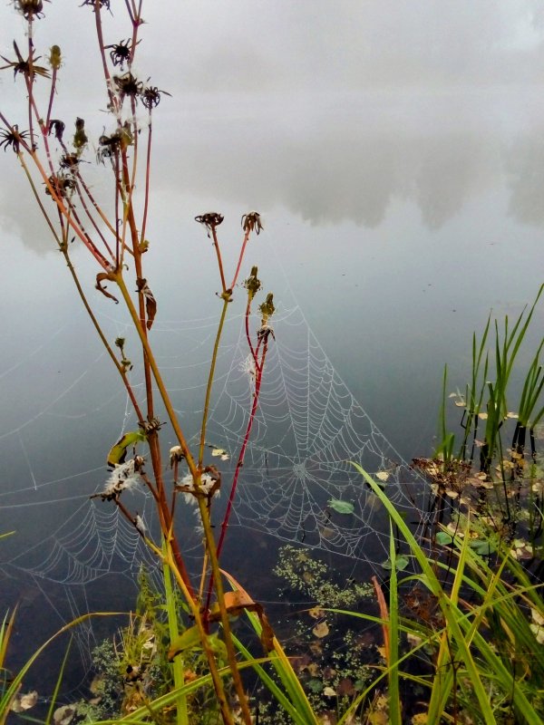 Озеро. Осень.