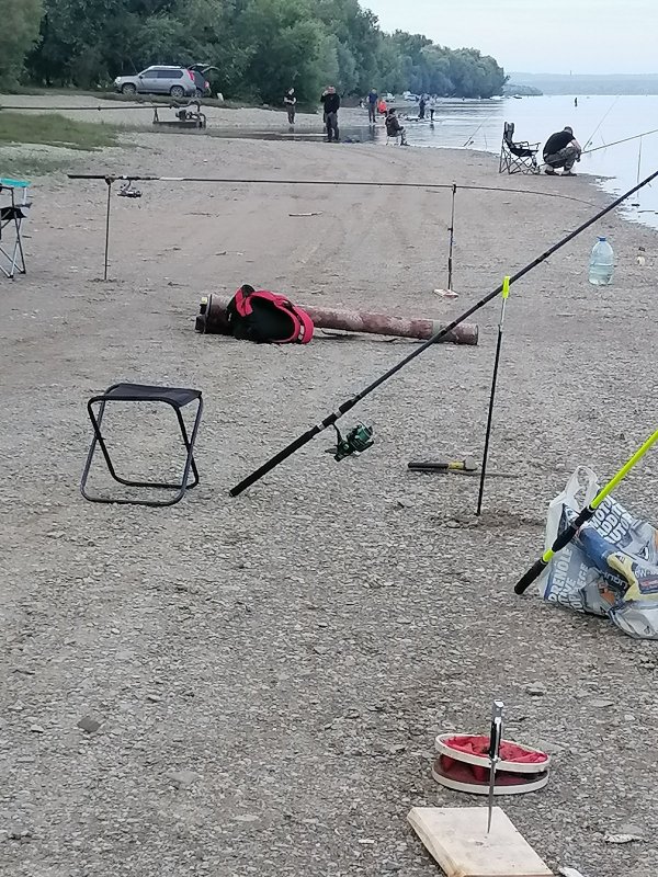 Рыбалка в городе.