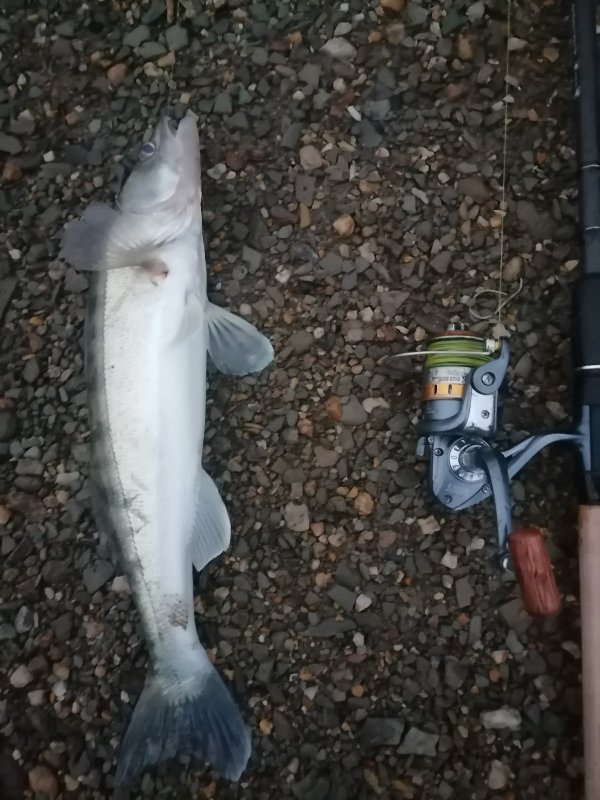 Всего второй за сезон.