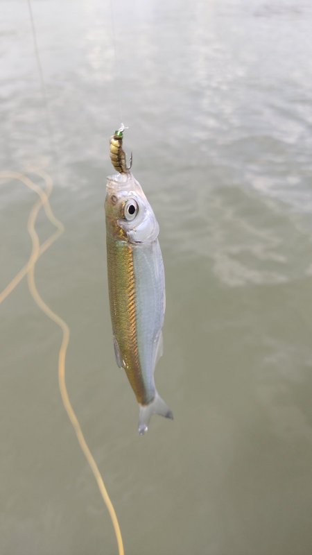 Развлечения