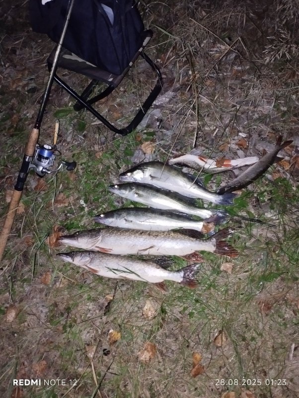 Обской натюрморт.