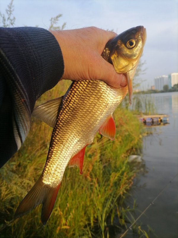 За огородами.