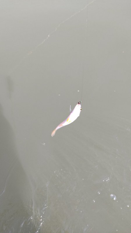 Пошёл трофейный:)))