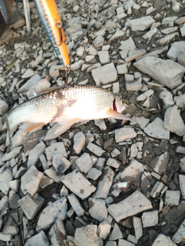 Потрепала тебя Жизнь!..