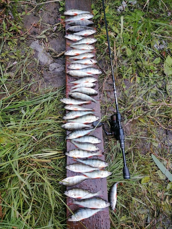 За огородами.