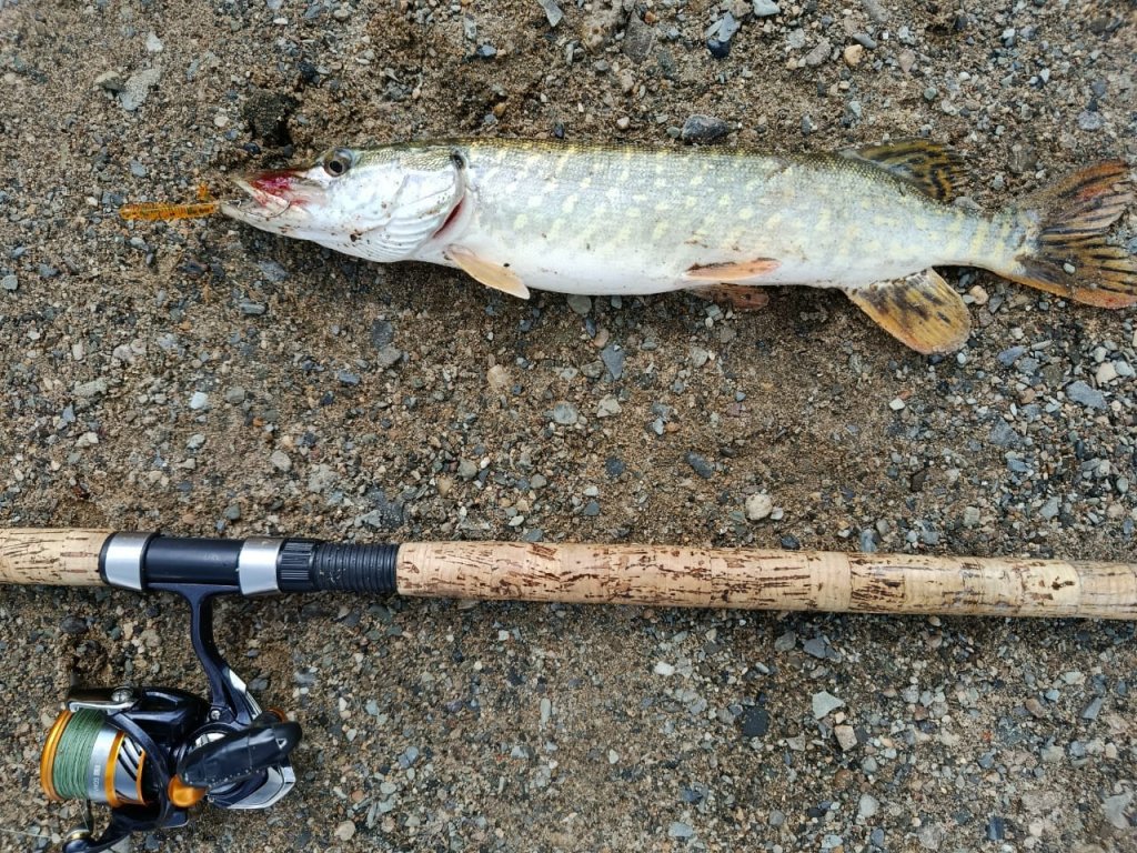 Пока окунь капризничал...