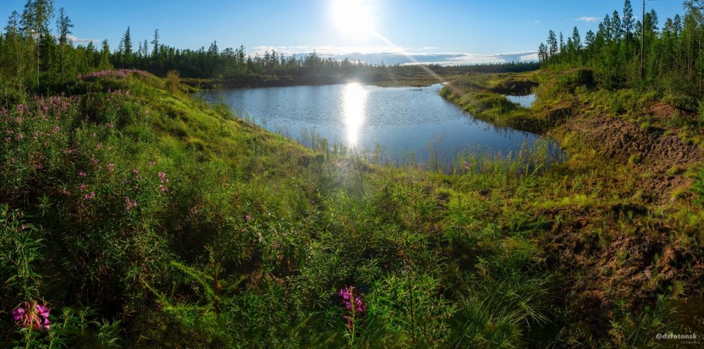 Неожиданная красота неизвестного водоёма.