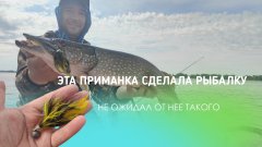 Я в шоке!!! Она ловит. Приманка сделала всю рыбалку