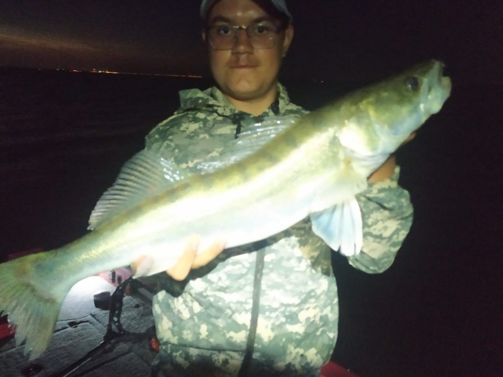 Ночной красавец