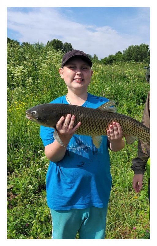 Китерня. 06.07.2024