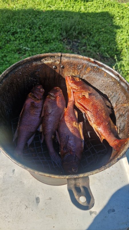 Коптильня в ведре