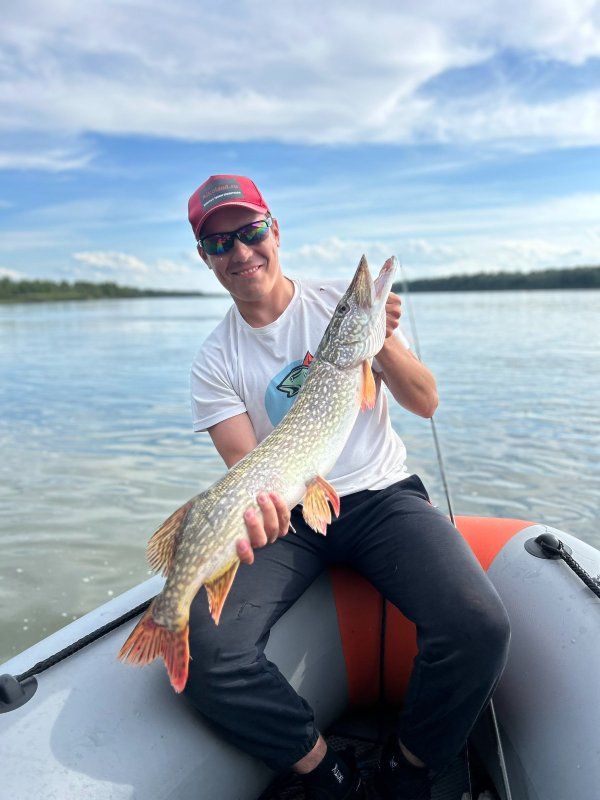 Обская красавица