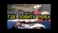 Место, где лучше учиться ловить на джиг.