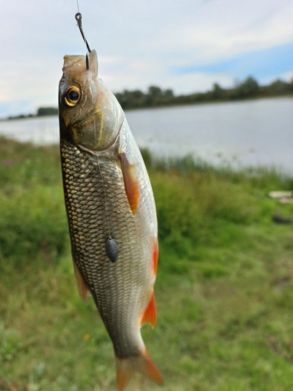 Здравствуйте...