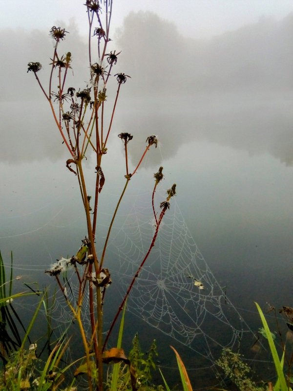 Озеро. Осень-2