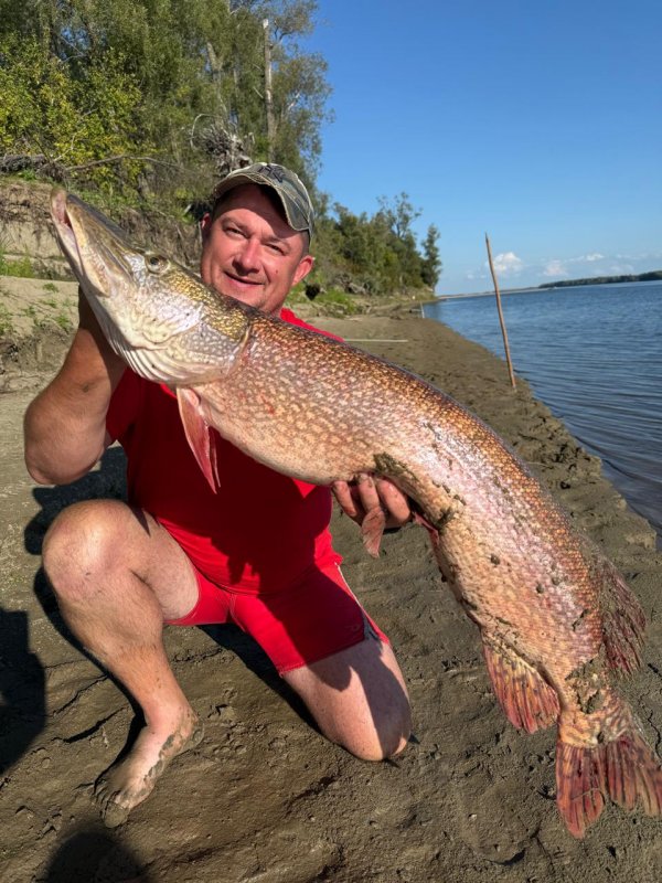 Зубастый крокодил