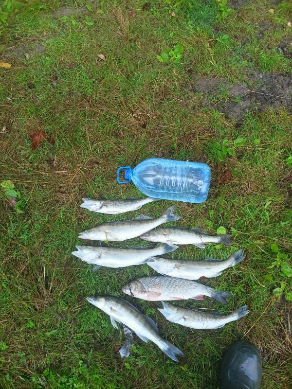 Протока Луговая.