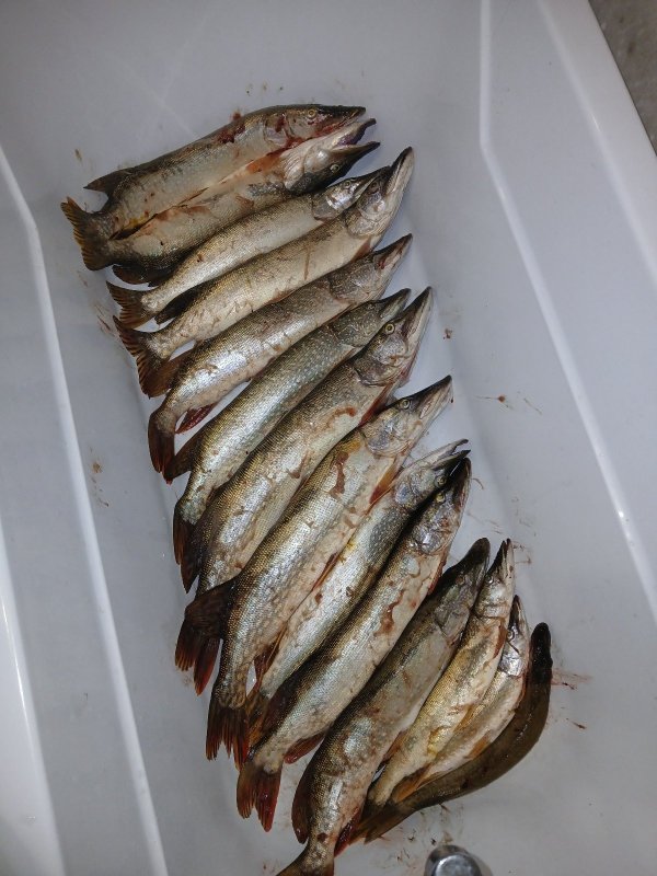 Итог вечера