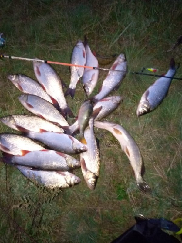 За сорок минут до заката