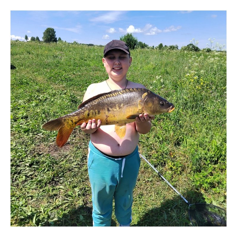 Китерня. 06.07.2024