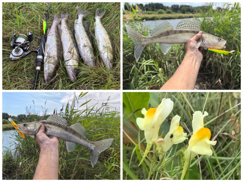 Ордыны. Воблер и немного джига.